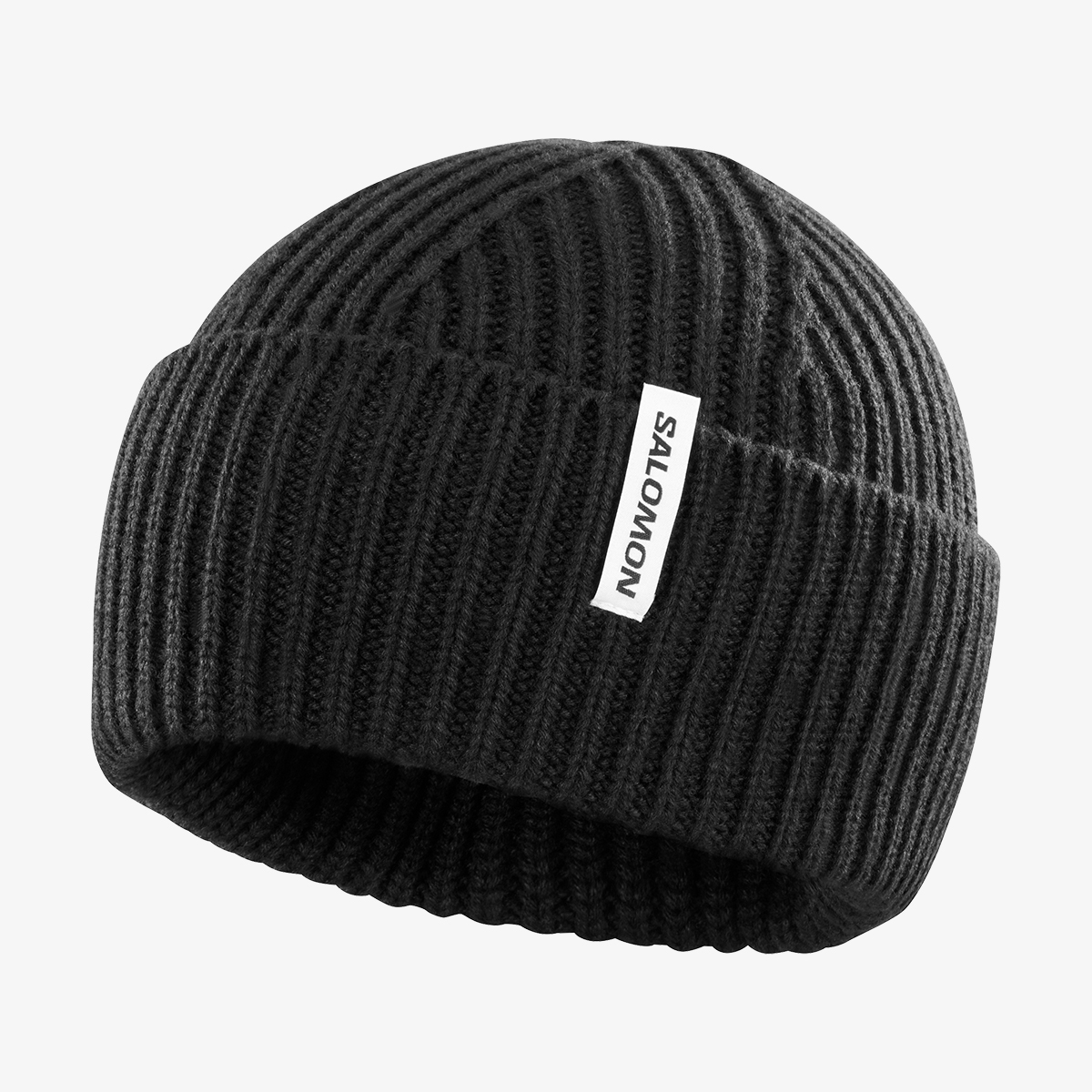 SNOWBIRD BEANIE